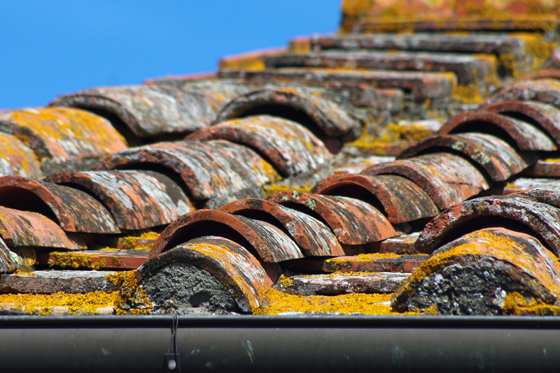 Asbestos Roof