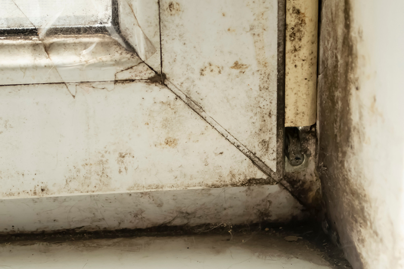 Mold Inspecting